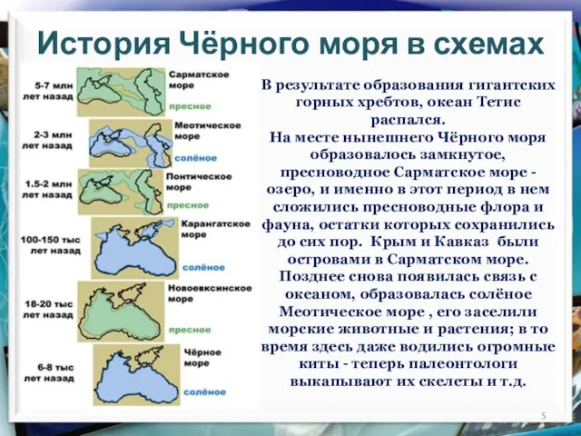 История Чёрного моря в схемах В результате образования гигантских горных хребтов, океан