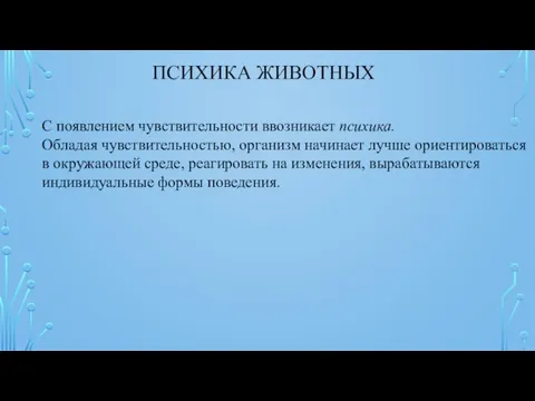 ПСИХИКА ЖИВОТНЫХ С появлением чувствительности ввозникает психика. Обладая чувствительностью, организм начинает лучше