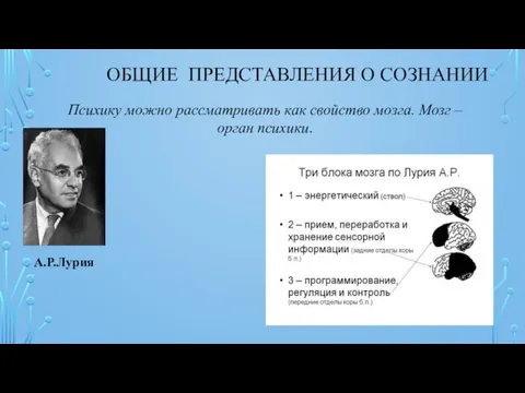 ОБЩИЕ ПРЕДСТАВЛЕНИЯ О СОЗНАНИИ Психику можно рассматривать как свойство мозга. Мозг – орган психики. А.Р.Лурия