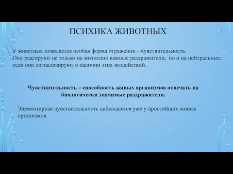 ПСИХИКА ЖИВОТНЫХ У животных появляется особая форма отражения – чувствительность. Они реагируют