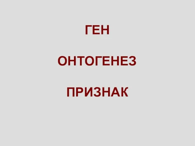 ГЕН ОНТОГЕНЕЗ ПРИЗНАК