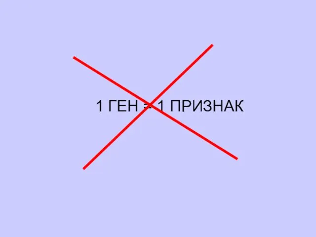 1 ГЕН = 1 ПРИЗНАК