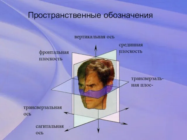 Пространственные обозначения