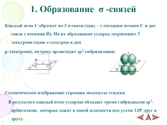 1. Образование σ -связей Каждый атом С образует по 3 σ-связи (одну