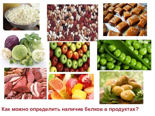 Как можно определить наличие белков в продуктах?