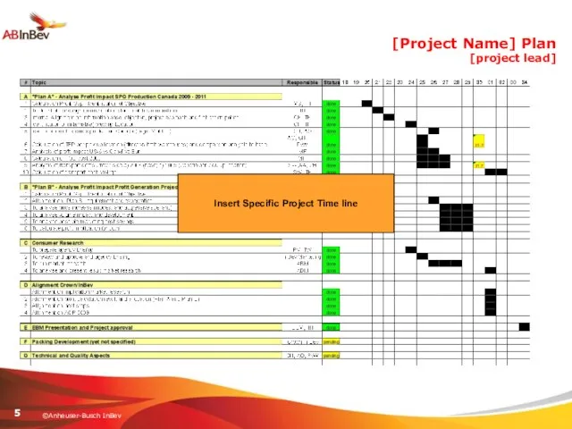 [Project Name] Plan [project lead] Insert Specific Project Time line