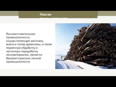 Лесозаготовительная промышленность, осуществляющая заготовку, вывоз и сплав древесины, а также первичную обработку