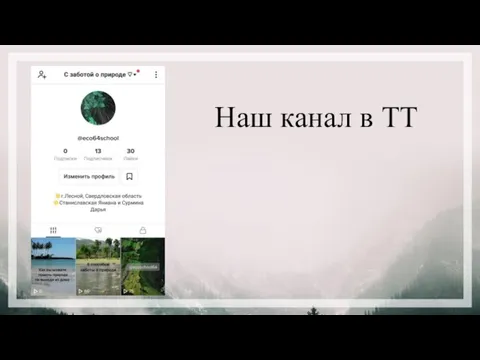 Наш канал в ТТ