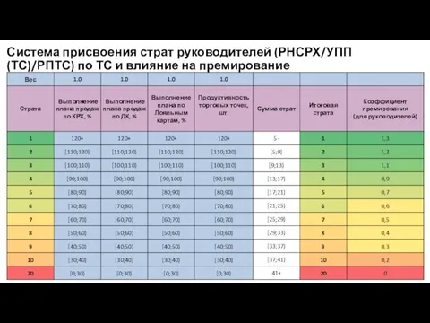 Система присвоения страт руководителей (РНСРХ/УПП (ТС)/РПТС) по ТС и влияние на премирование