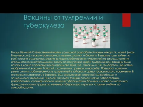 Вакцины от туляремии и туберкулеза В годы Великой Отечественной войны успешной разработкой