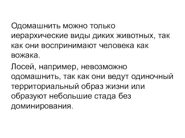 Одомашнить можно только иерархические виды диких животных, так как они воспринимают человека