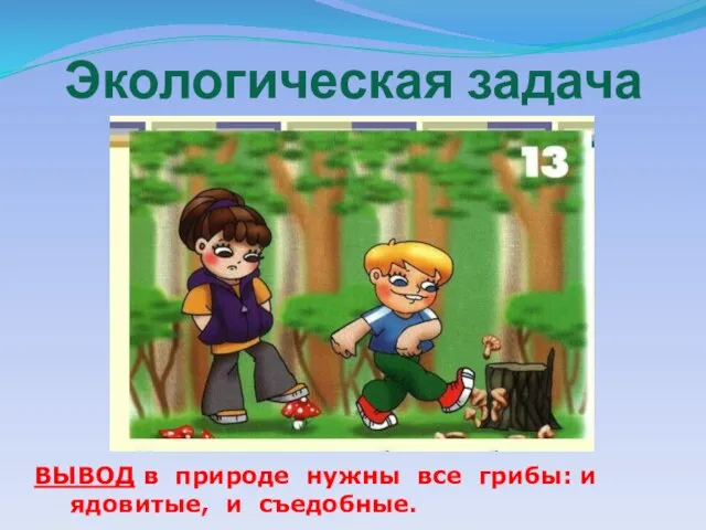 Экологическая задача ВЫВОД в природе нужны все грибы: и ядовитые, и съедобные.