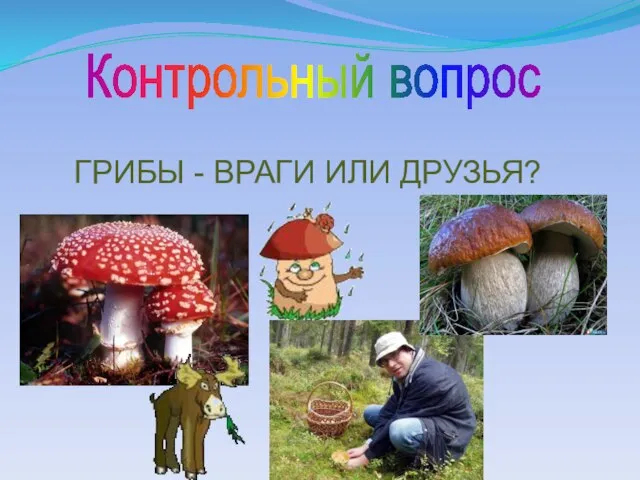 Контрольный вопрос ГРИБЫ - ВРАГИ ИЛИ ДРУЗЬЯ?