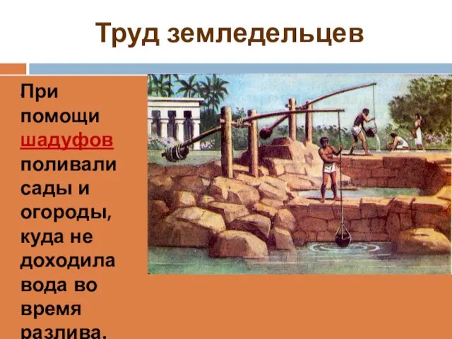 Труд земледельцев . При помощи шадуфов поливали сады и огороды, куда не