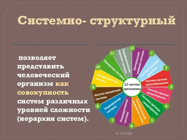 Системно- структурный позволяет представить человеческий организм как совокупность систем различных уровней сложности (иерархия систем). 01.09.2020