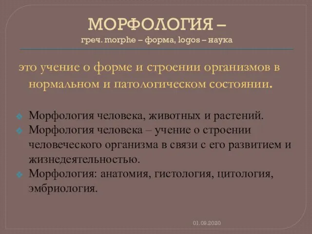 МОРФОЛОГИЯ – греч. morphe – форма, logos – наука 01.09.2020 это учение