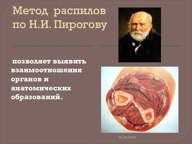 Метод распилов по Н.И. Пирогову позволяет выявить взаимоотношения органов и анатомических образований. 01.09.2020