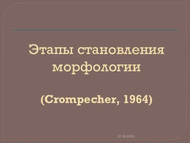 Этапы становления морфологии (Crompecher, 1964) 01.09.2020