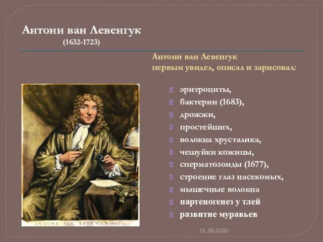 Антони ван Левенгук (1632-1723) 01.09.2020 Антони ван Левенгук первым увидел, описал и