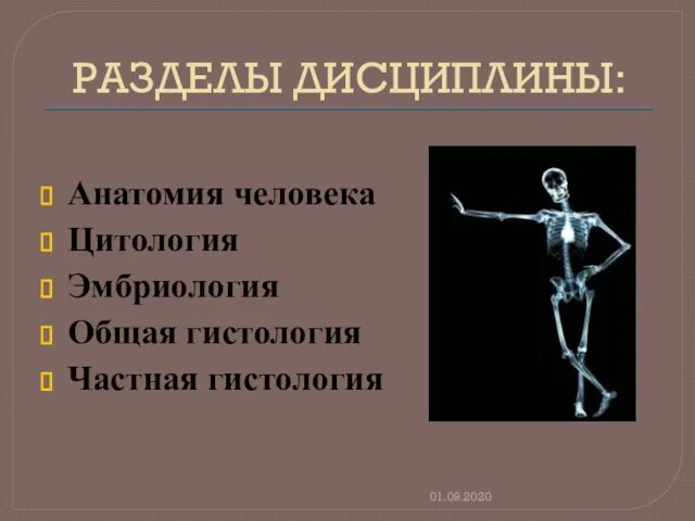 РАЗДЕЛЫ ДИСЦИПЛИНЫ: Анатомия человека Цитология Эмбриология Общая гистология Частная гистология 01.09.2020