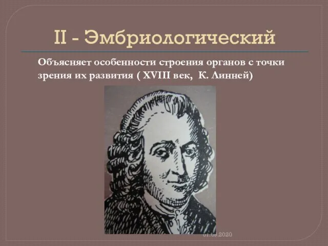 II - Эмбриологический 01.09.2020 Объясняет особенности строения органов с точки зрения их