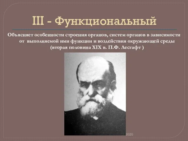 III - Функциональный Объясняет особенности строения органов, систем органов в зависимости от