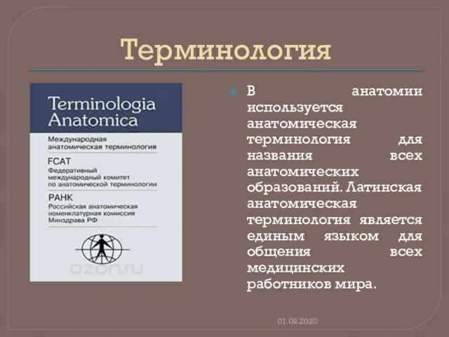 Терминология В анатомии используется анатомическая терминология для названия всех анатомических образований. Латинская