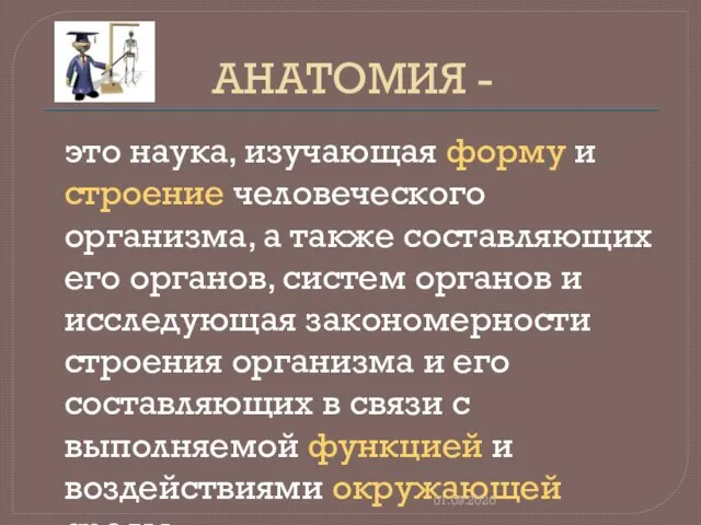 АНАТОМИЯ - это наука, изучающая форму и строение человеческого организма, а также