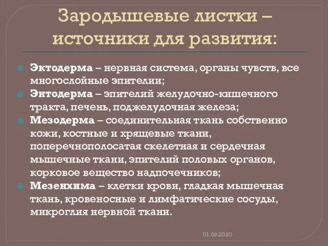 Зародышевые листки – источники для развития: Эктодерма – нервная система, органы чувств,