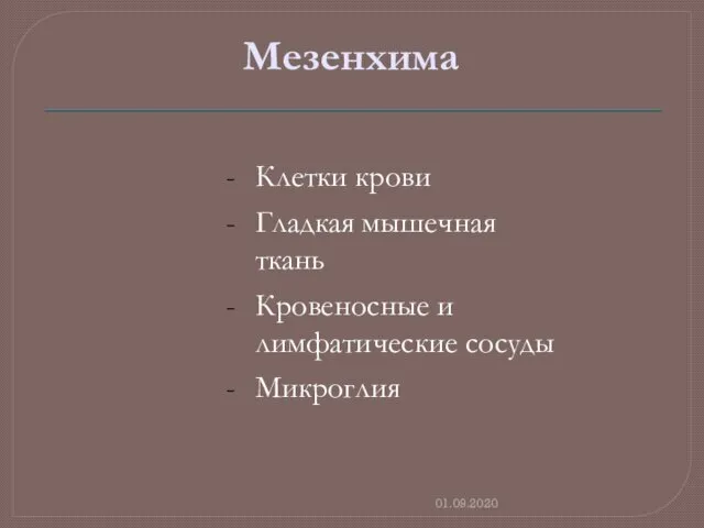 01.09.2020 Мезенхима Клетки крови Гладкая мышечная ткань Кровеносные и лимфатические сосуды Микроглия