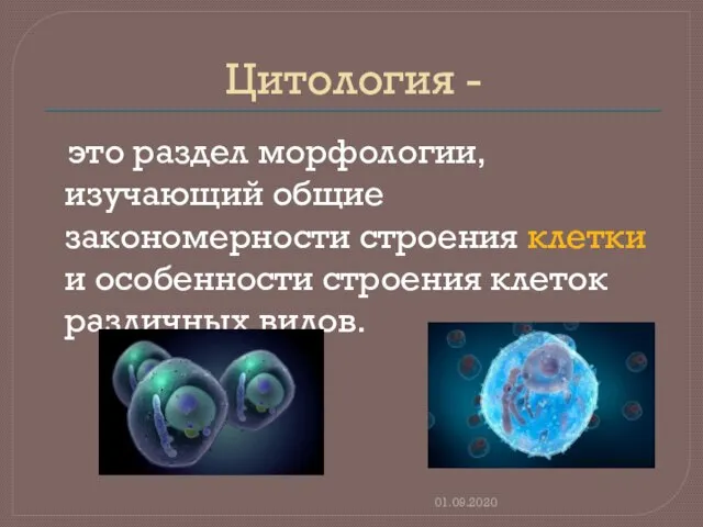 Цитология - это раздел морфологии, изучающий общие закономерности строения клетки и особенности