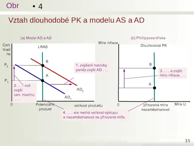 Vztah dlouhodobé PK a modelu AS a AD 4 (a) Model AD