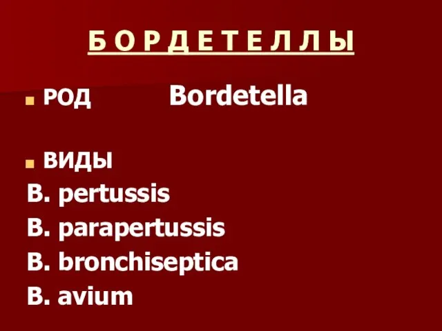 Бордетелла. Виды бордетеллы