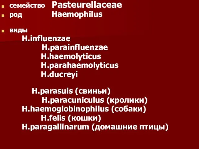 семейство Pasteurellaceae род Haemophilus виды H.influenzae H.parainfluenzae H.haemolyticus H.parahaemolyticus H.ducreyi H.parasuis (свиньи)