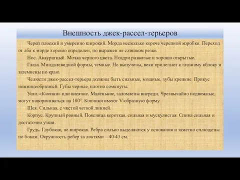 Внешность джек-рассел-терьеров Череп плоский и умеренно широкий. Морда несколько короче черепной коробки.