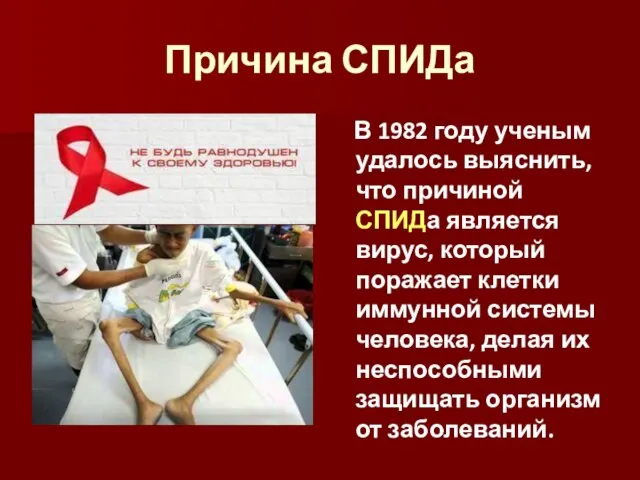 Причина СПИДа В 1982 году ученым удалось выяснить, что причиной СПИДа является