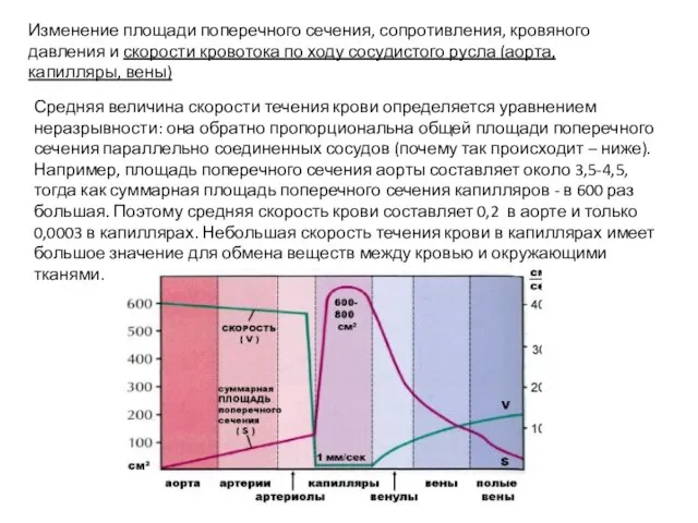 Изменение площади поперечного сечения, сопротивления, кровяного давления и скорости кровотока по ходу