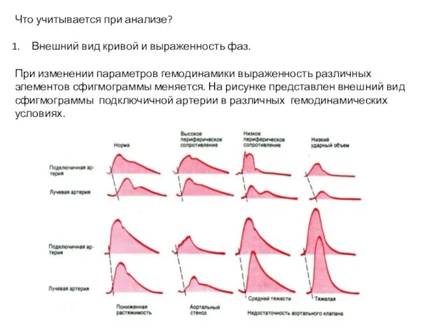 Что учитывается при анализе? Внешний вид кривой и выраженность фаз. При изменении