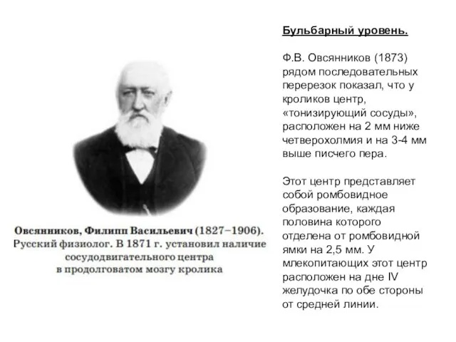 Бульбарный уровень. Ф.В. Овсянников (1873) рядом последовательных перерезок показал, что у кроликов