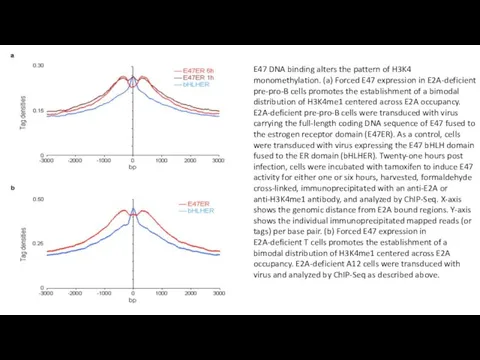 E47 DNA binding alters the pattern of H3K4 monomethylation. (a) Forced E47