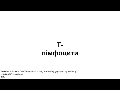 Т-лімфоцити Brendan E. Russ: «T cell immunity as a tool for studying