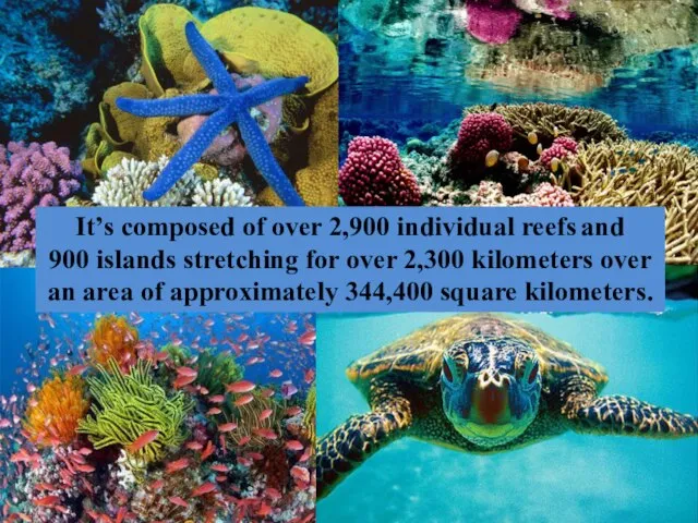 It’s composed of over 2,900 individual reefs and 900 islands stretching for