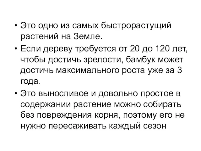 Это одно из самых быстрорастущий растений на Земле. Если дереву требуется от