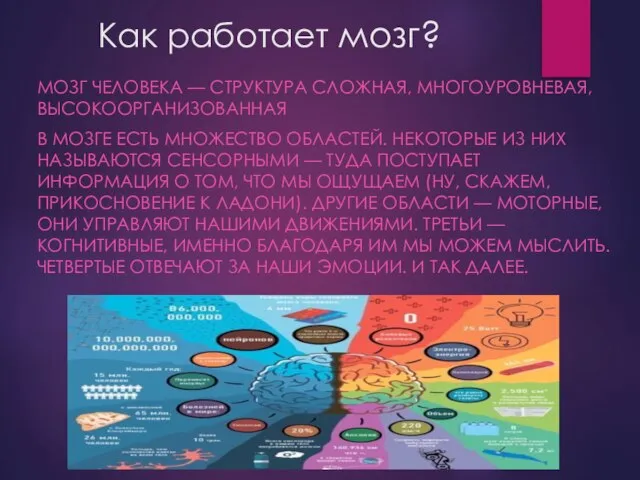 Как работает мозг? МОЗГ ЧЕЛОВЕКА — СТРУКТУРА СЛОЖНАЯ, МНОГОУРОВНЕВАЯ, ВЫСОКООРГАНИЗОВАННАЯ В МОЗГЕ