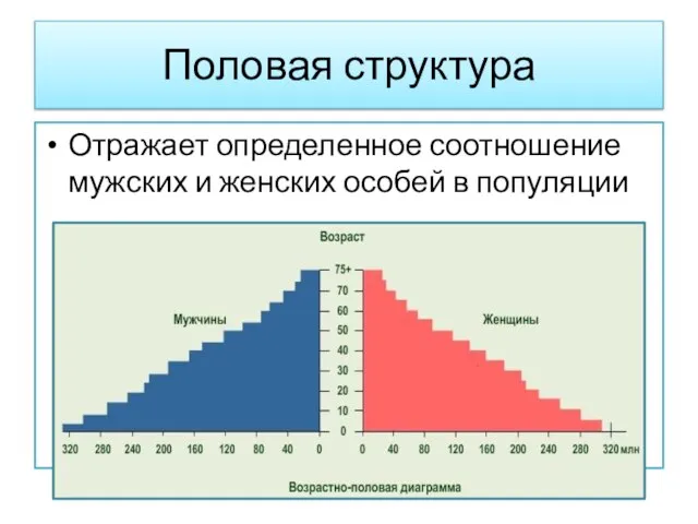 Половая структура Отражает определенное соотношение мужских и женских особей в популяции