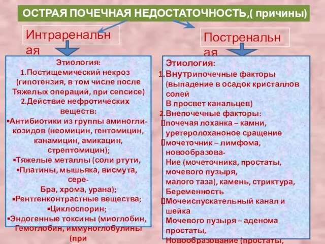 ОСТРАЯ ПОЧЕЧНАЯ НЕДОСТАТОЧНОСТЬ,( причины) Интраренальная Постренальная Этиология: Постищемический некроз (гипотензия, в том