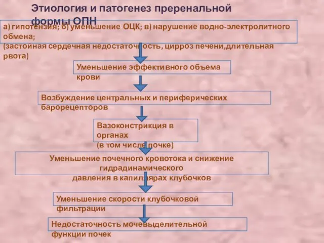 Этиология и патогенез преренальной формы ОПН а) гипотензия; б) уменьшение ОЦК; в)