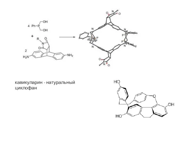кавикуларин - натуральный циклофан