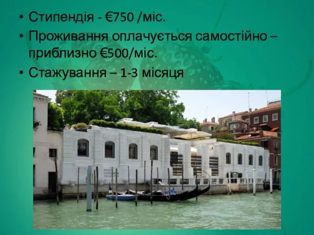 Стипендія - €750 /міс. Проживання оплачується самостійно – приблизно €500/міс. Стажування – 1-3 місяця