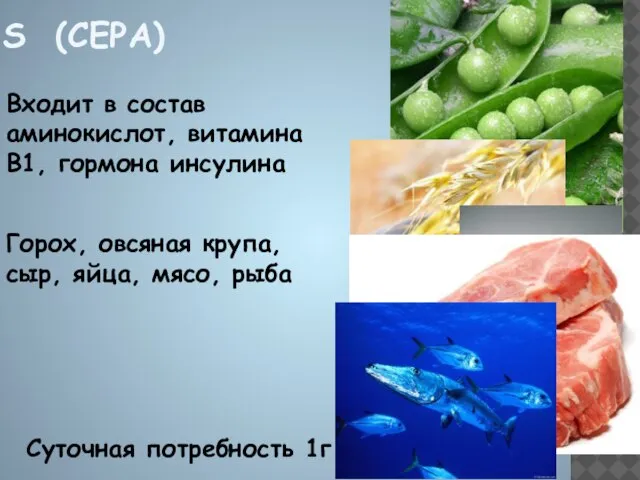 S (СЕРА) Входит в состав аминокислот, витамина В1, гормона инсулина Горох, овсяная